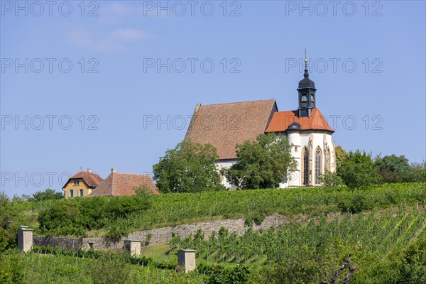 Pilgrimage church Maria im Weingarten