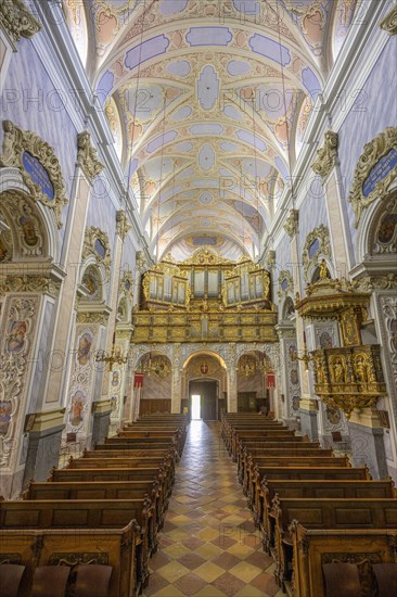 View of the organ