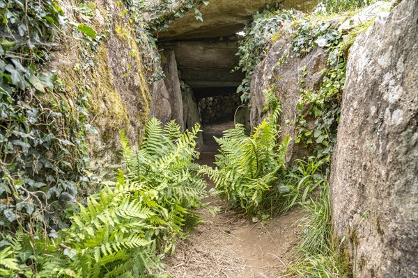 Dolmen of Grah-Niol near Arzon