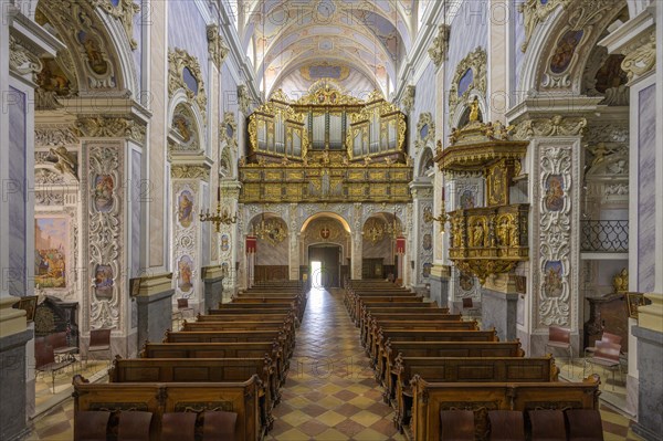 View of the organ