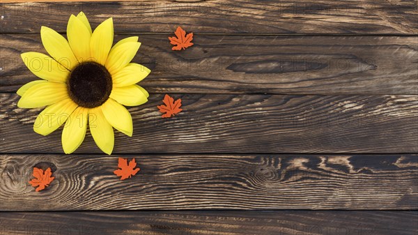 Top view frame with sunflower wooden background