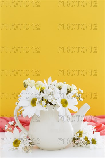 Decoration with white daisies yellow background