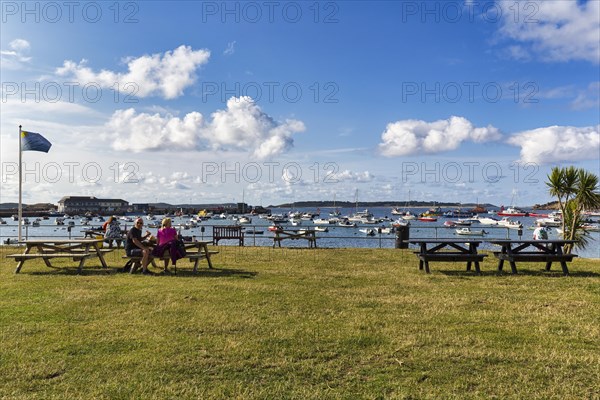 Benches on a lawn overlooking boats in the harbour