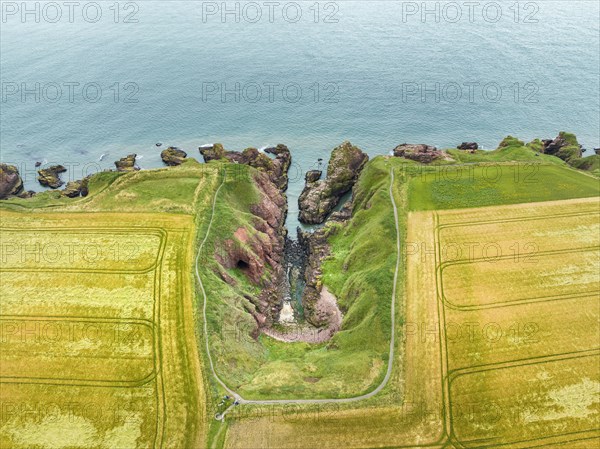 Aerial view of Arbroath Cliffs coastline
