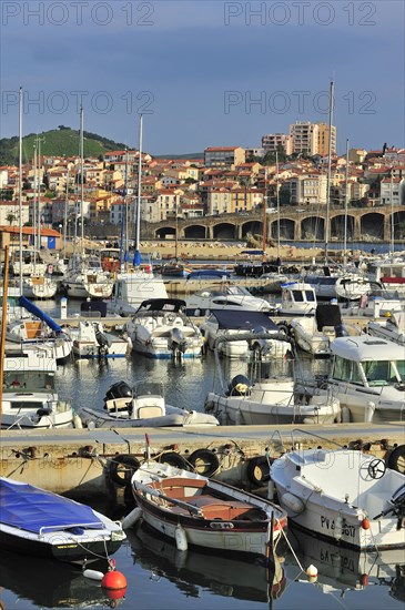 The port at Banyuls-sur-Mer