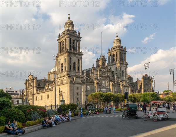 Metropolitan cathedral church