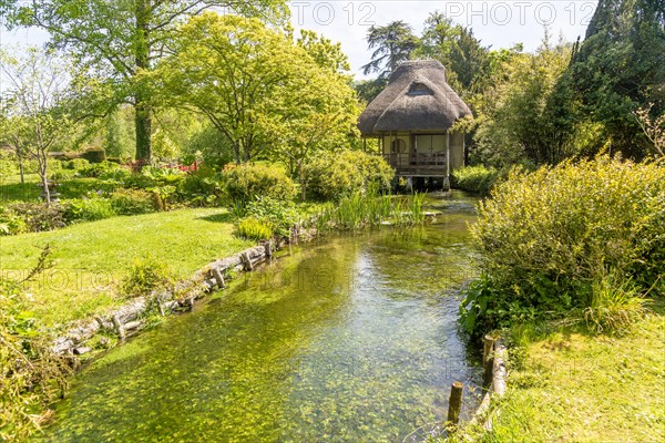 Chalk stream River Avon