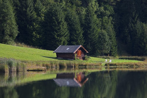 Wooden hut at edge of pine forest along lake Gerold