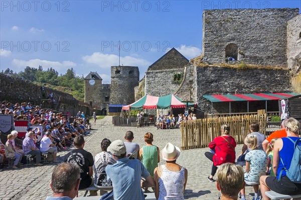 Tourists watching falconry