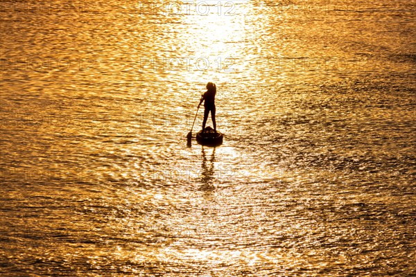 A stand-up paddler paddles on the river Main at sunset in Frankfurt