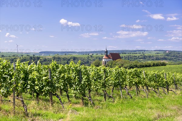 Pilgrimage church Maria im Weingarten