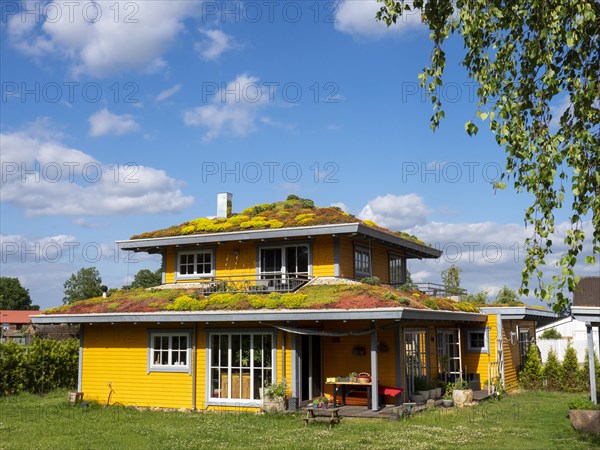 Wooden house with colourful flowering green roof