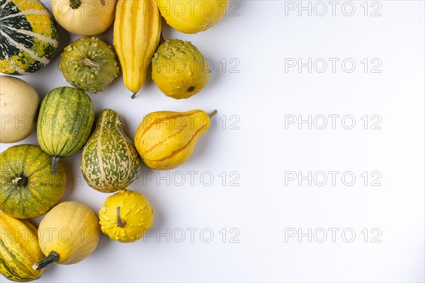 Various ornamental pumpkins