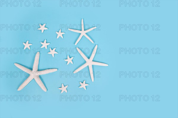 Different sized starfish on blue background