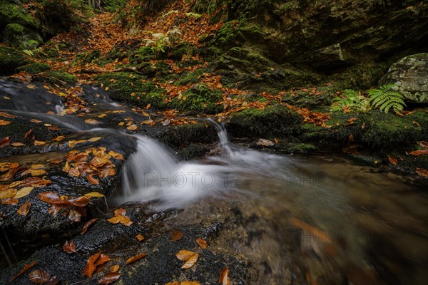 Mountain stream and waterfall in autumn forest