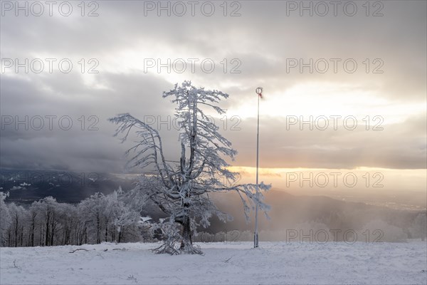 Winter sunset on the mountain with hoarfrost on the trees and fog