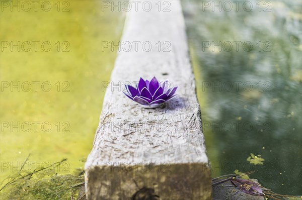 Aesthetic shot of a purple glass lotus. Copy space