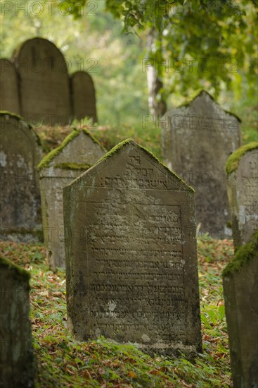 Jewish cemetery