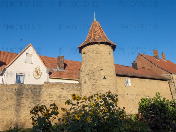 Part of the old town wall and towers