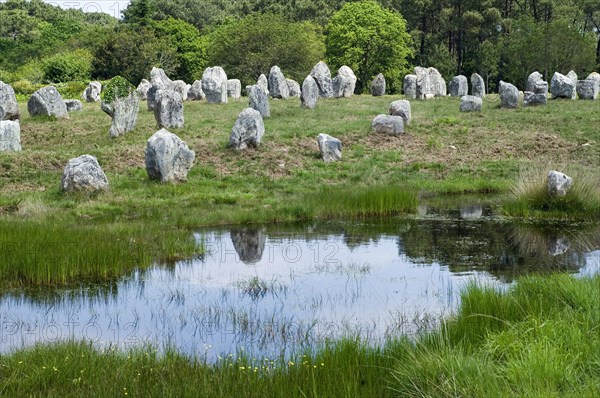 Standing stones in the Menec alignment at Carnac