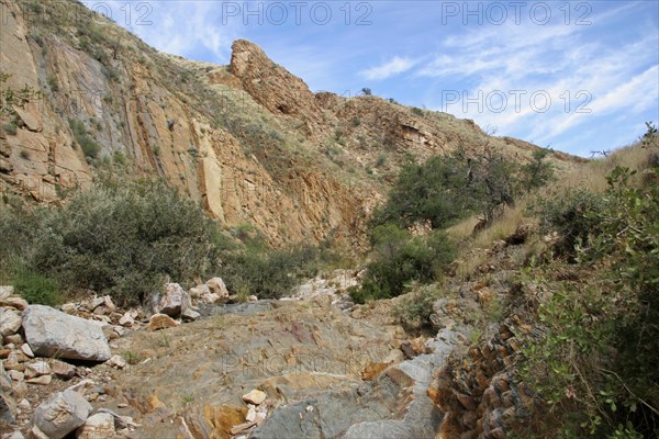 Olive Trail in Namib Naukluft