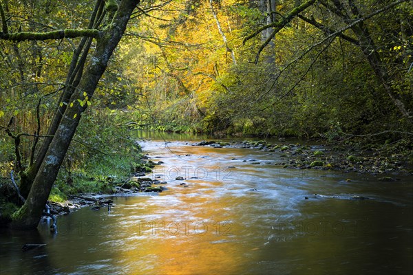 The Eistobel nature reserve