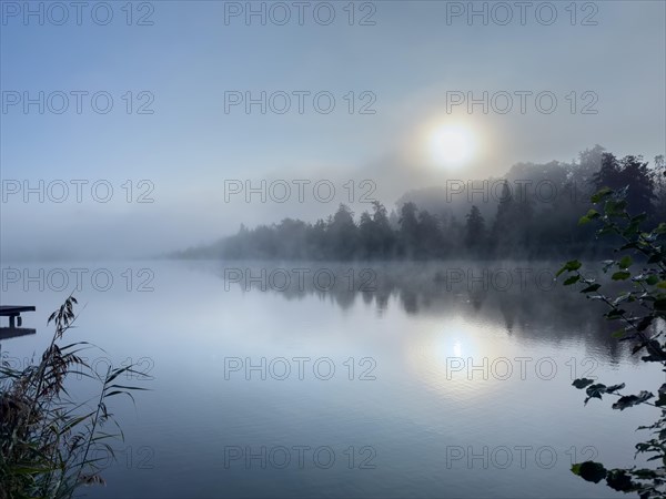 Morning fog at Harmatinger Weiher