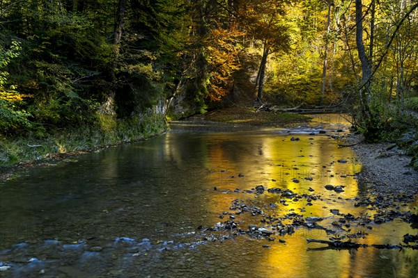 The Eistobel nature reserve