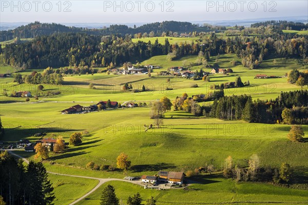 Landscape around Maierhoefen in the Allgaeu in autumn with meadows