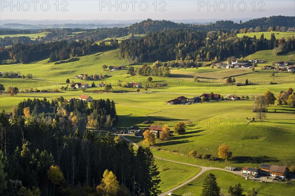 Landscape around Maierhoefen in the Allgaeu in autumn with meadows