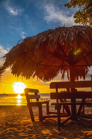 A palm tree on the beach at Sunset from West End Beach