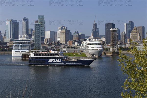 Cruise ships in the Old Port