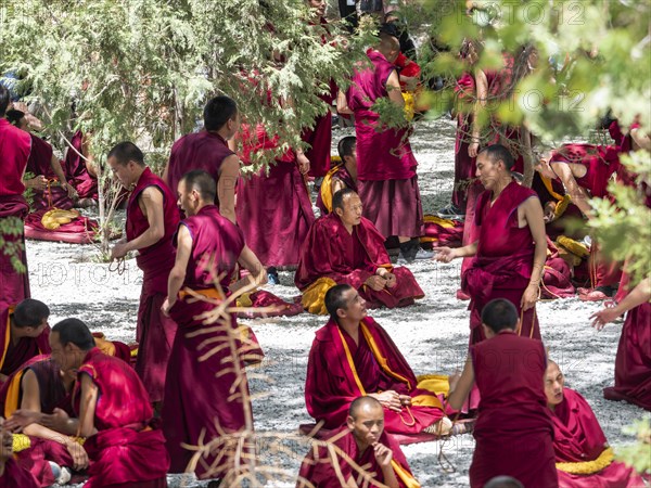 Monk discussion at Sera Monastery