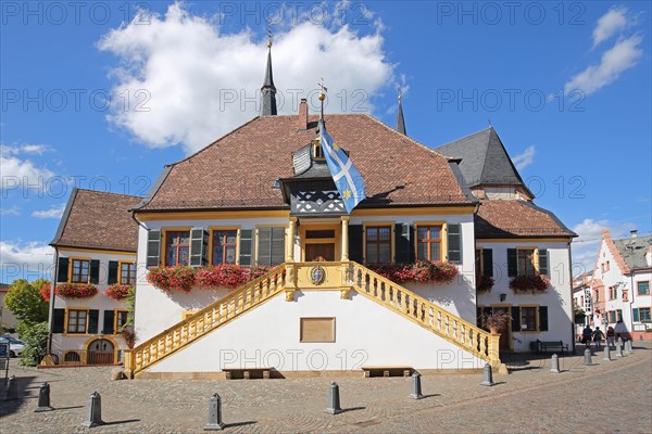 Historic town hall built 1532 with town flag