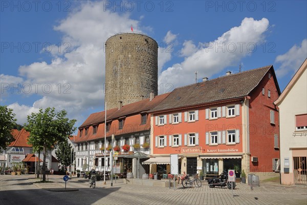 Historic Waldhorn tower built in 1220 and half-timbered house