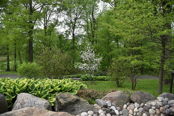 Spring at Snug Harbor Cultural Center and Botanical Garden