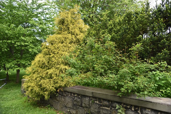 Spring at Snug Harbor Cultural Center and Botanical Garden