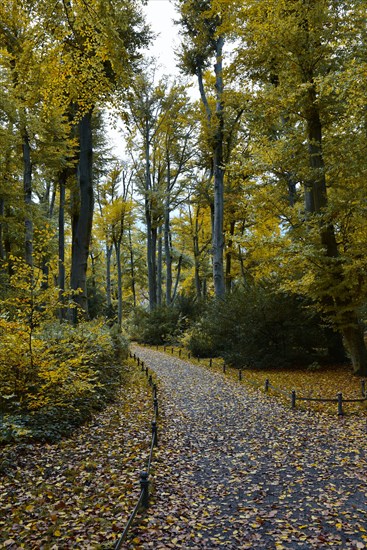 Autumn in a green space on Potsdamer Straße