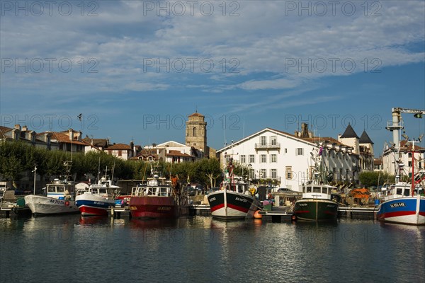 Fishing boats in the harbour