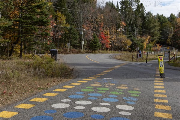 Trans Canada Trail