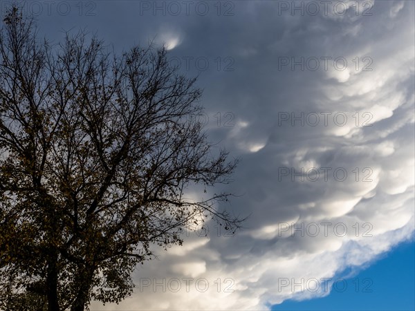 Dramatic clouds over bare trees