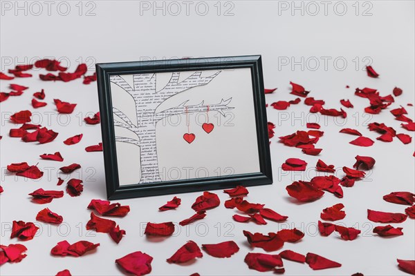 Frame with drawn tree rose petals around