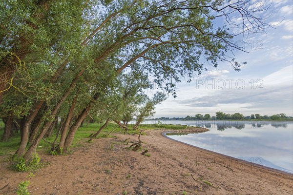 Sunrise at the UNESCO Biosphere Reserve Elbe River Landscape