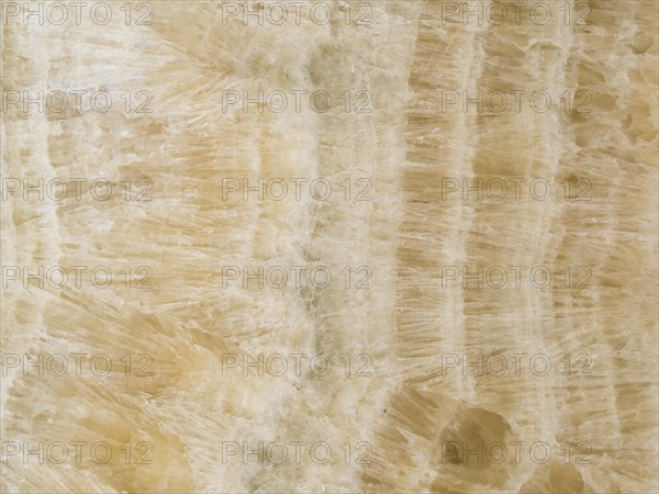 Close up wooden surface background