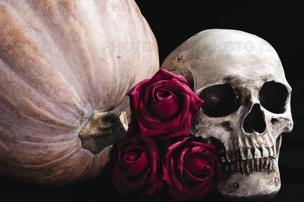 Roses with human skull pumpkin