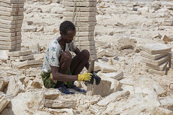 Afar salt miner at salt mine in salt flat chopping blocks