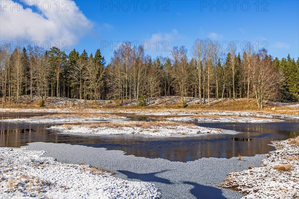 Restored wetland for wildlife at a forest in winter with snow and ice