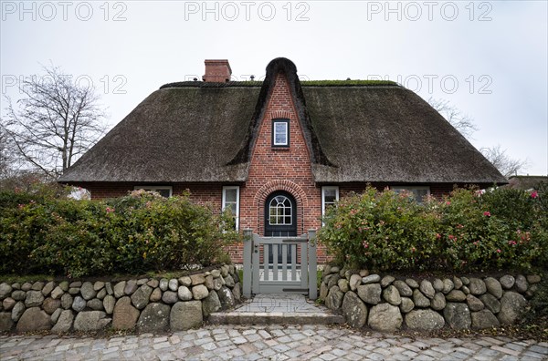 Frisian house with thatched roof