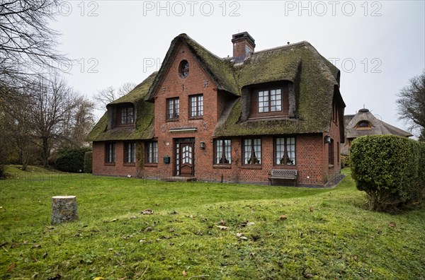 Frisian house with thatched roof
