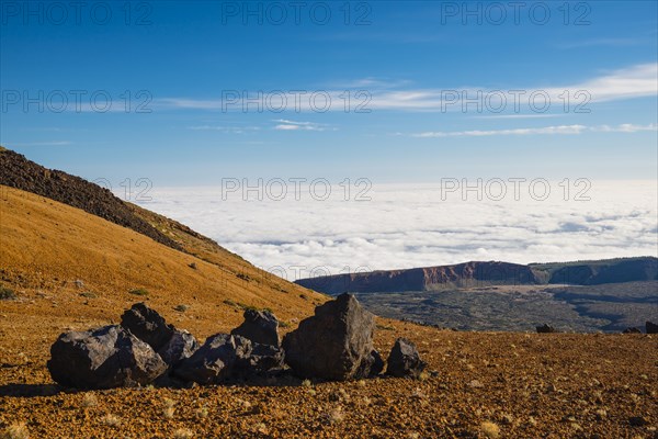 Huevos del Teide